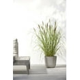 thumbnail image 3 of Ecopots Oslo 10" Round Taupe Plastic Modern Planter, 3 of 4