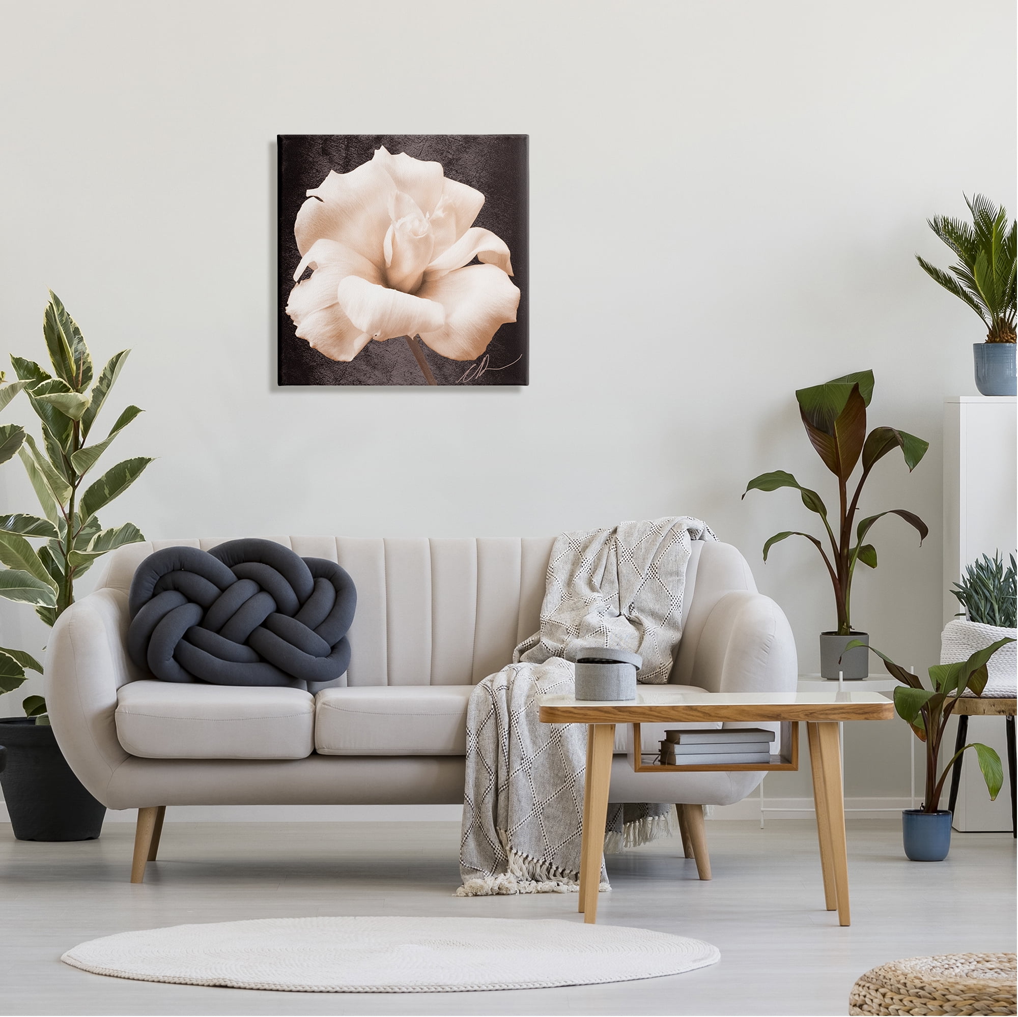 Stupell Industries Rose Petal Photography Botanical & Floral Painting Gallery Wrapped Canvas Art Print Wall Art, 24 x 24