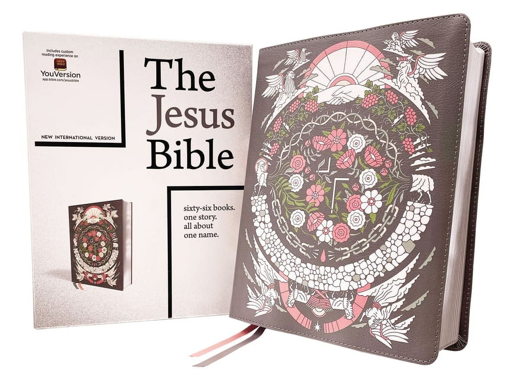 Zondervan The Jesus Bible Artist Edition, Hardcover, Esv, Peach