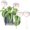 XL (13 oz) – 4 Pack, variant on 13 oz Up 2 Weeks Watering Globes, Iridescent Rainbow Glass Water Bulbs, Self Watering Planter Insert, Watering Devices System, Automatic Waterer, 2 Pack