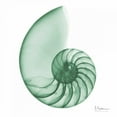 thumbnail image 2 of Koetsier, Albert 15x15 White Modern Wood Framed Museum Art Print Titled - Jade Water Snail 2, 2 of 4
