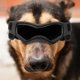 thumbnail image 5 of Gafas Para Perros, Elegantes Gafas De Sol Ajustables Para Perros, Protección UV Para Conducir, 5 of 7