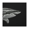 thumbnail image 2 of Great White Shark Rampage - Canvas, 2 of 25