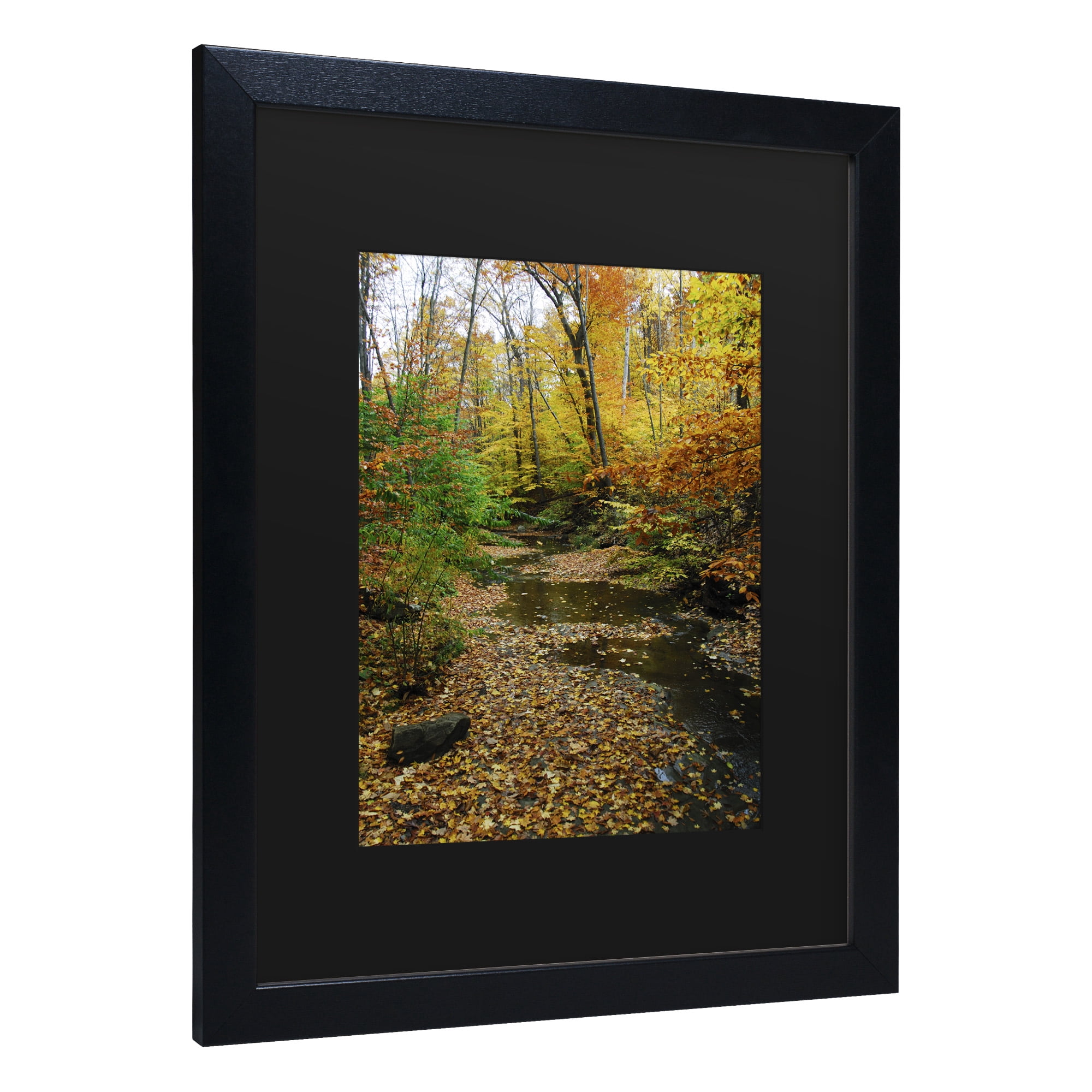 Trademark Fine Art 'Autumn Stream' Canvas Art by Kurt Shaffer