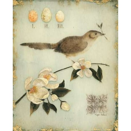 - Blossom Recollection Poster Print by Regina Andrew Design