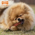 thumbnail image 4 of Nylabone Power Chew Original Bone Dog Chew Toy Bacon Small (1 Count), 4 of 15