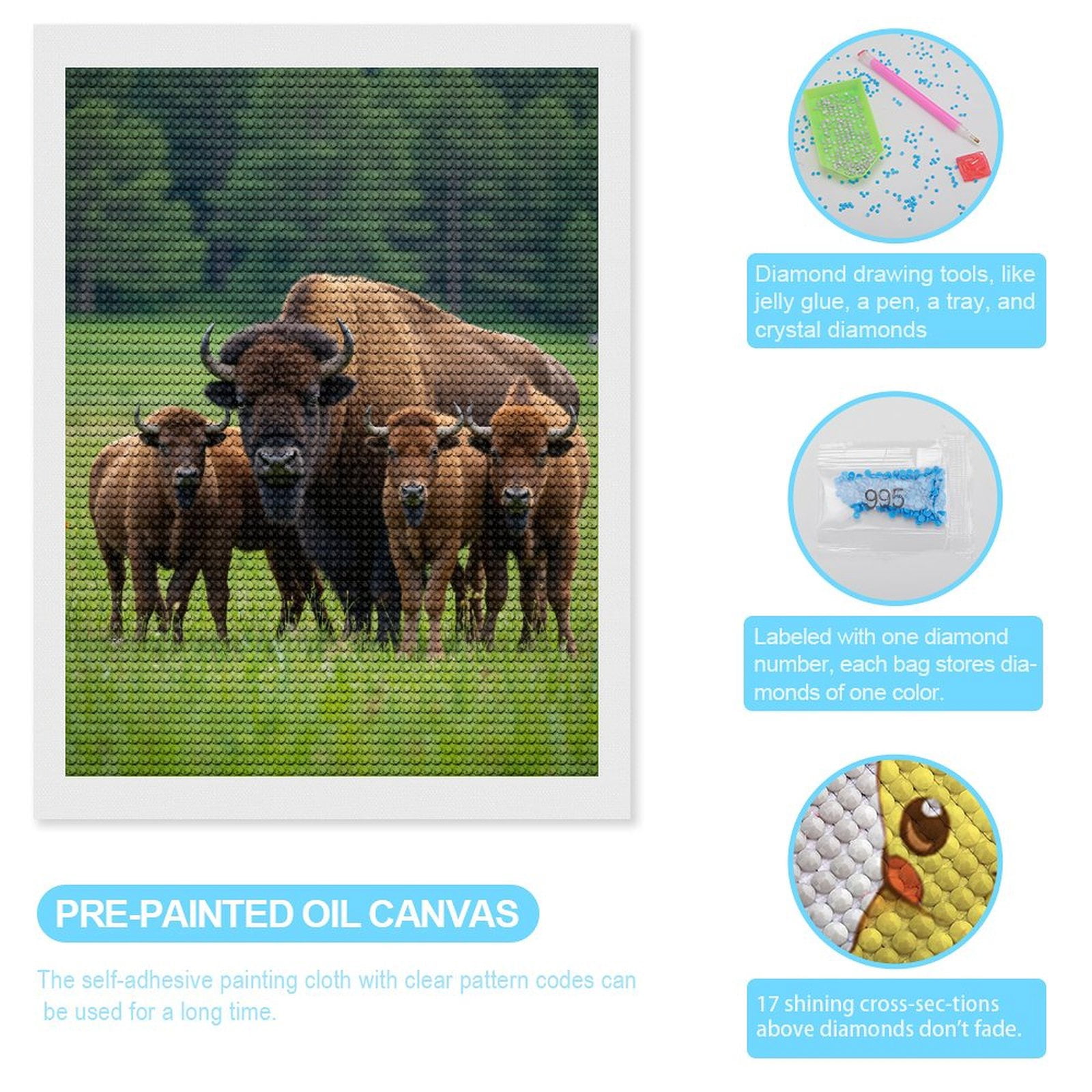 Diamond Art Kits for Adults, Bison Family In Lush Green Field 5D Diamond Painting Kits for Adults Beginners, DIY Full Drill Diamond Painting, Gem Art and Crafts 12x16