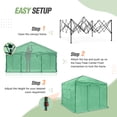 thumbnail image 6 of EAGLE PEAK 10x10 Portable Walk-in Greenhouse Instant Pop-up Easy Setup Indoor Outdoor Plant Gardening Green House Canopy,Green, 6 of 8