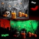 thumbnail image 3 of 200g, 30 spider) Halloween Spider Web Decoration, Glow Spider Web, Fake Spiders, Halloween Spiders Set, for Halloween Decoration Party, Indoor, Outdoo, 3 of 5