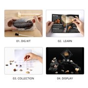 Piano Potato Fossil Dig Kit for Kids | 12 Genuine Fossils Science Set with Trilobite Dig Block, Display Showcase & Storage Box | STEM Paleontology Educational Toy Gift for Boys & Girls Ages 6-12