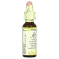 thumbnail image 4 of Bach Original Flower Remedies, White Chestnut, 0.35 fl oz (10 ml), 4 of 5
