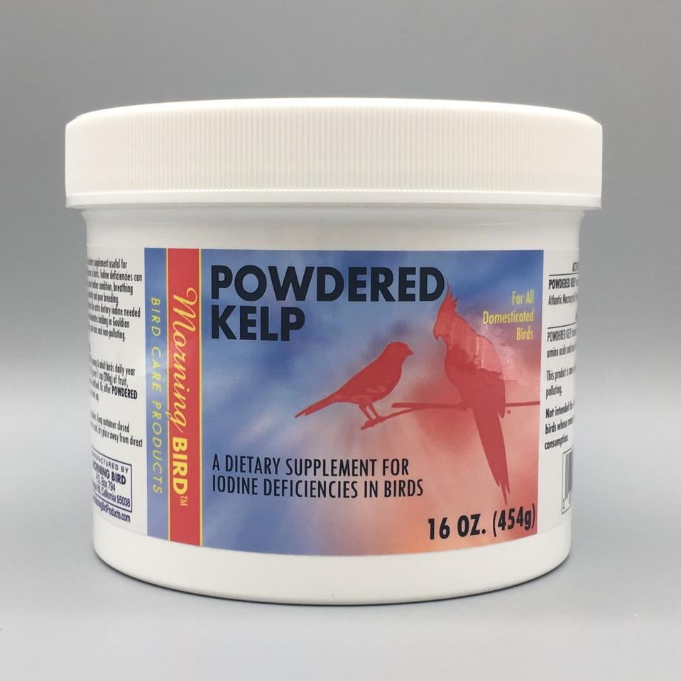 Morning Bird Powdered Kelp Nutritional Supplement for Birds
