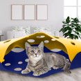 thumbnail image 4 of Chat tunnel Lit Pliable Animal tunnel Jouet Interactif Sport Feutre Matériel, 4 of 5
