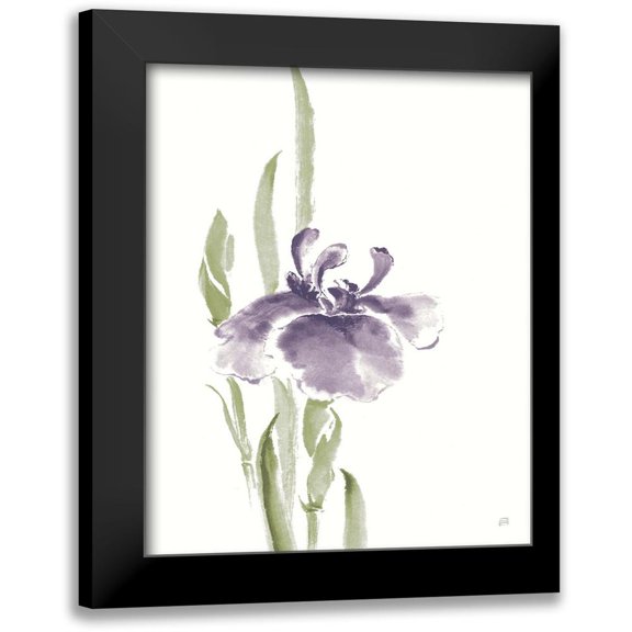 Paschke, Chris 12x14 Black Modern Framed Museum Art Print Titled - Japanese Iris II Purple Crop
