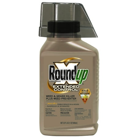Roundup Concentrate Extended Control Weed & Grass Killer Plus Weed Preventer (Best Weed Preventer For Lawns)
