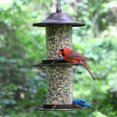 thumbnail image 3 of Mangeoire d'oiseaux Panorama de Perky-Pet, 3 of 6