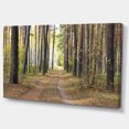 thumbnail image 2 of Chemin en Forêt de Pins d'Automne - Art Moderne sur Toile, 2 of 4