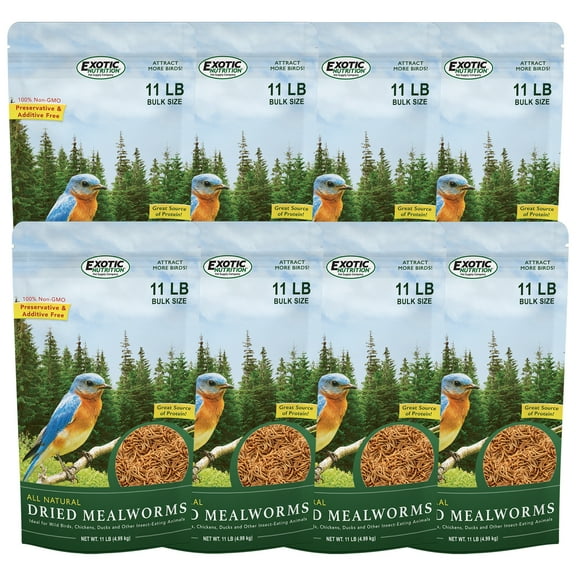 Exotic Nutrition Dried Mealworms 88 lb.