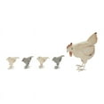 thumbnail image 5 of Lila's Dual-Tone Tabletop Metal Farmhouse Henhouse Set of 5, 5 of 6