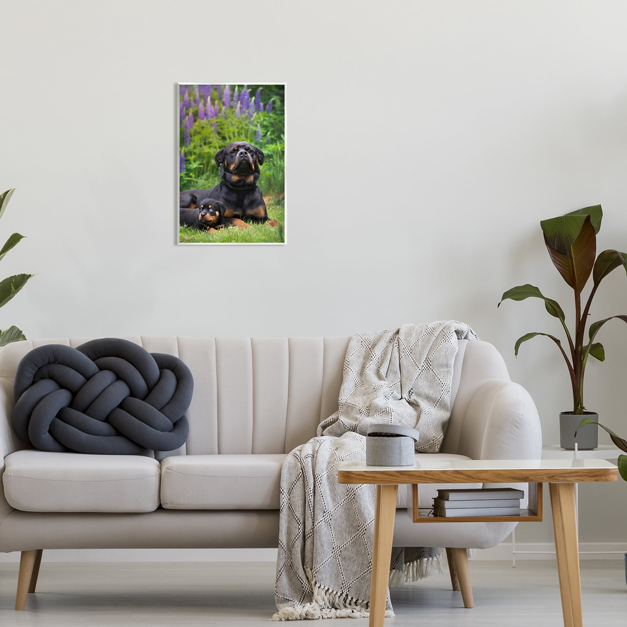 Stupell Industries Rott Puppies in Meadow Animals & Insects Photography Unframed Art Print Wall Art, 13 x 19