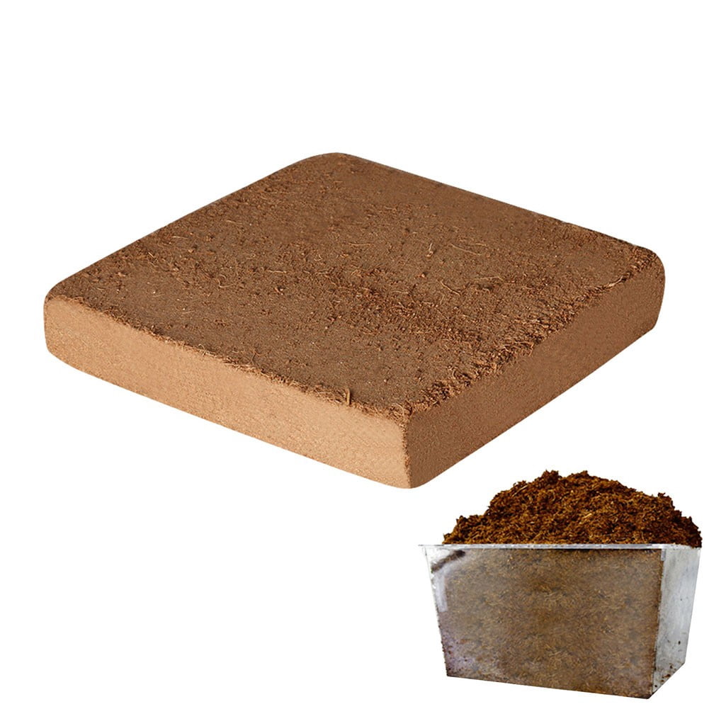 Organic Compressed Coco Coir Brick Coconut Fiber Organic Soil Plant Growing Medi Smile Home