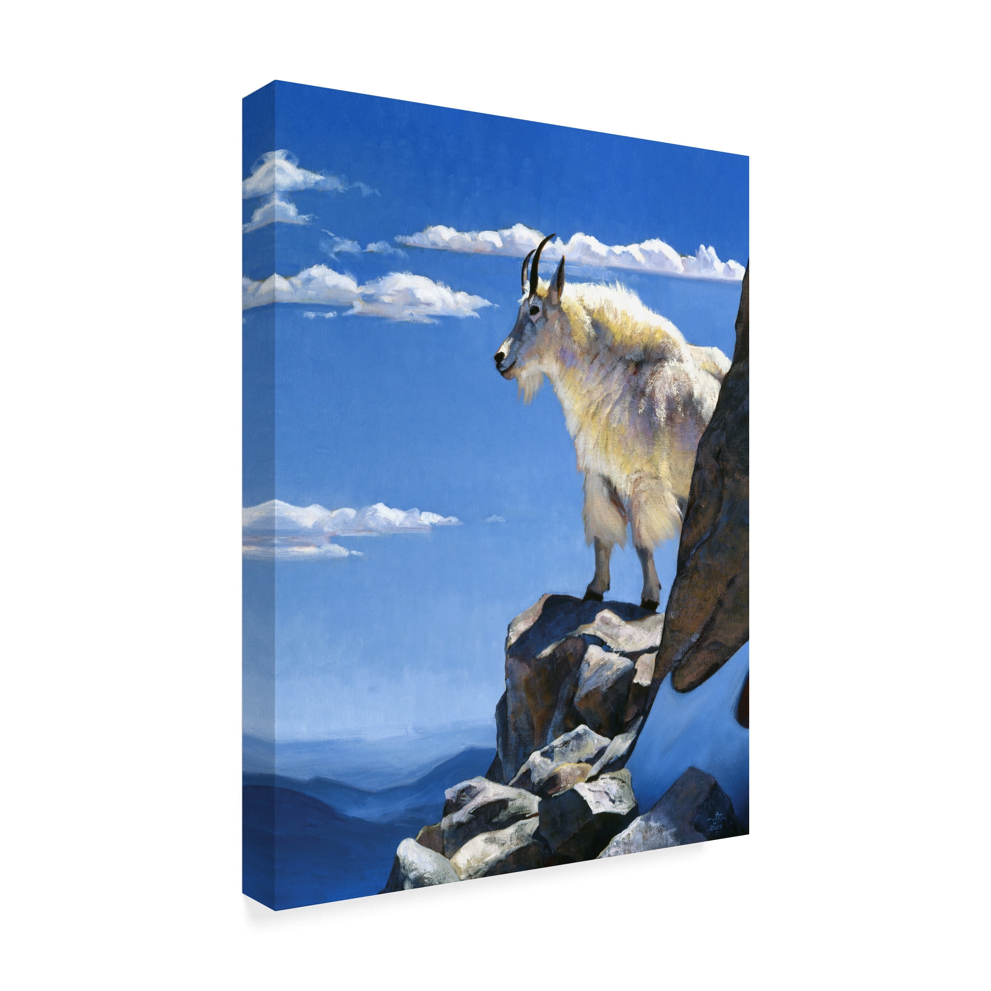 Trademark Fine Art 'Rocky Mountain High' Canvas Art by Julie T. Chapman