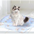 thumbnail image 2 of Esterilla refrescante de verano para mascotas, almohadilla de Gel frío, cómoda para chien Chat Chiot, 2 of 5