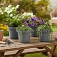 thumbnail image 2 of Bloem Saturn 7" Round Plastic Planter - Indoor/Outdoor, Snap-in Saucer & Drainage Holes, Charcoal, 4-Pack, 2 of 8