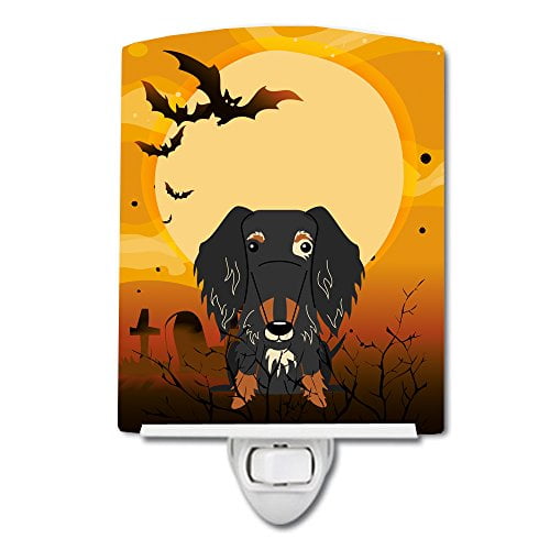 Carolines Treasures Flat Coated Retriever Christmas Night Light 6 x 4 Multicolor