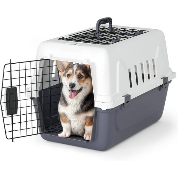 LILEYI 22 Inch Hard-Sided Plastic Dog Carrier, 2-Door Top-Loading Kennel for Small Dogs and Cats Longer Traveling, Durable Handle, and 4 Sides Ventilation for Pet Up 22 lbs (White Grey)