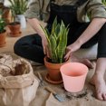 thumbnail image 3 of 3pcs Creative Lazy Flower Pots Self Absorbent Planters Watering Planters, 3 of 7