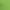 Lime, variant on Dog Dad Tee
