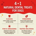 thumbnail image 3 of Stella & Chewy's Dental Delights with Freeze-Dried Chicken - Large Dental Treats for Dogs, 5.5 Ounce Bag, 3 of 8