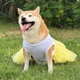 thumbnail image 4 of HQREA Dog Princess Dresses for Large Dogs Pullover Summer Clothes Tutu Dress with Butterfly Embroidered for Wedding Birthday, 4 of 6