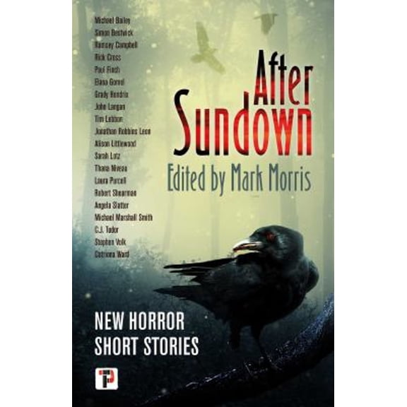 Pre-Owned After Sundown (Paperback) 9781787584556