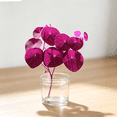 thumbnail image 4 of Stephania Erecta, Tropical Caudex Houseplant‑Effortless Raise‑Minimal Upkeep‑Ideal for Tabletop, Plant Pots & Planters, 4 of 8