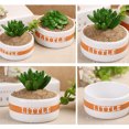 thumbnail image 3 of Planta de flores de resina Sunnimix Resina, 3 of 8