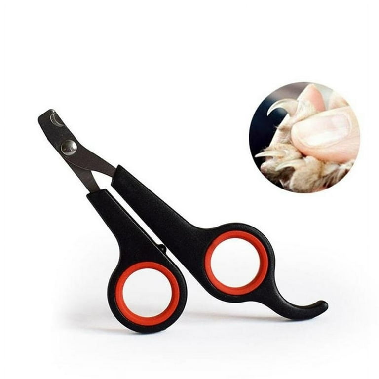 Parrot nail cutter sale