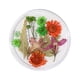 thumbnail image 2 of Uñas postizas, regalos para mujeres, decoración de uñas con flores secas, uñas japonesas, encaje 3D inmortal, juego de narcisos, lentejuelas para uñas., 2 of 2