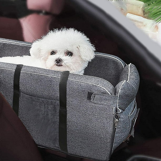 Siège rehausseur de voiture pour petit chien et chat sur accoudoir de  voiture avec laisse de