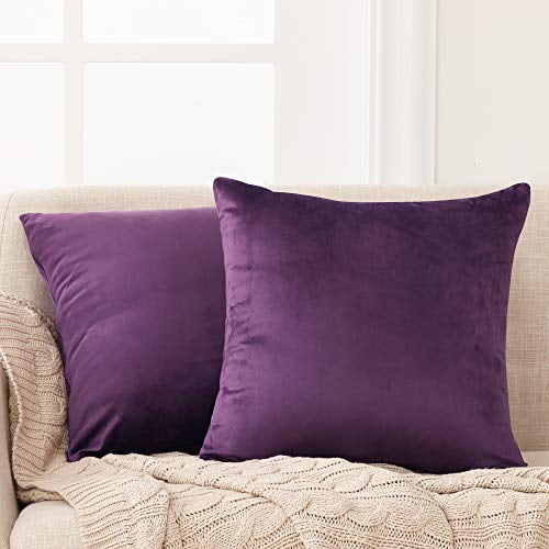 Deconovo Decorative Velvet Throw Pillow Covers for Sofa - 24x24 in, 2 Pcs, Eggplant Purple