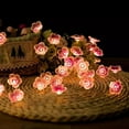 thumbnail image 2 of Mdesiwst String Light Decorative Battery-powered Cherry Blossom Flower LED Fairy Lamp Light Fixture for Indoor, 2 of 7