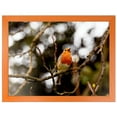 thumbnail image 5 of ArtToFrames 5" x 24" Orange Picture Frame, 5x24 inch Red Wood Poster Frame (WOM-4750), 5 of 8
