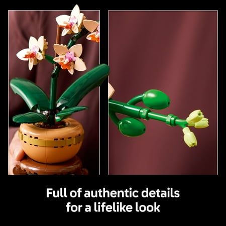 LEGO - Botanicals Mini Orchid Building Set for Adults 10343