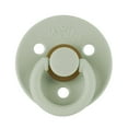 thumbnail image 4 of Itzy Soother™ Natural Rubber Pacifiers, Succulent & Agave, 6-18m, 4 of 7