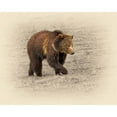 thumbnail image 2 of Brown, Jim 14x12 Gold Ornate Wood Framed with Double Matting Museum Art Print Titled - Grizzly 2, 2 of 4