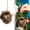 5Pcs丨A, variant on 5Pcs 2D Forest Animal Acorn Ornaments – Cozy Forest Christmas Ornaments,5pcs Acrylic Cute Forest Animal Christmas Trees Hanging Decorations,Rustic Nature-Themed Home Decor, Animal Lovers Gift