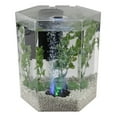 Tetra Bubbling LED Aquarium Kit 1 Gallon, Hexagon Shape, with Color