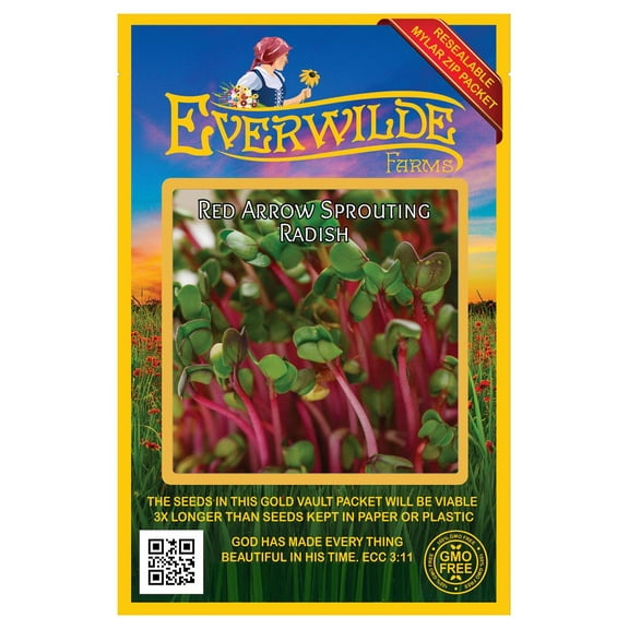 Everwilde Farms - 500 Red Arrow Sprouting Radish Seeds - Gold Vault Jumbo Bulk Seed Packet