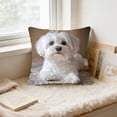 thumbnail image 4 of ddioayh Throw Pillow Cover Animal Print Soft Machine Washable 45x45cm for Sofa Chair Bedroom Home Decor Spring Easter Pet Theme Decorative Gift Idea, 4 of 6